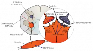 baclofen