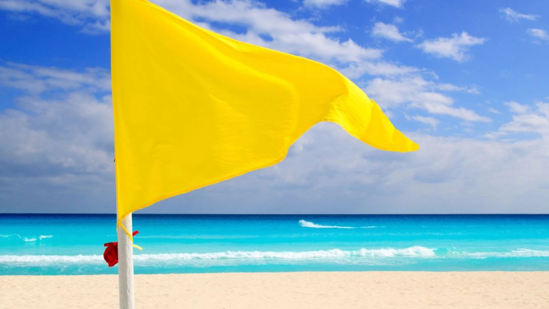 yellow flag in fisioterapia