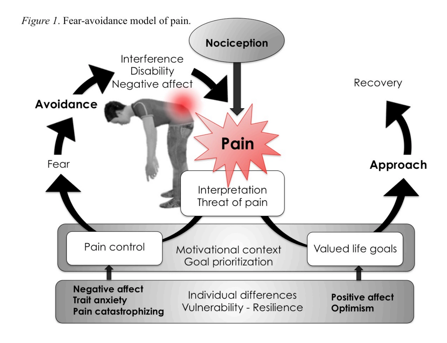 fear avoidance model