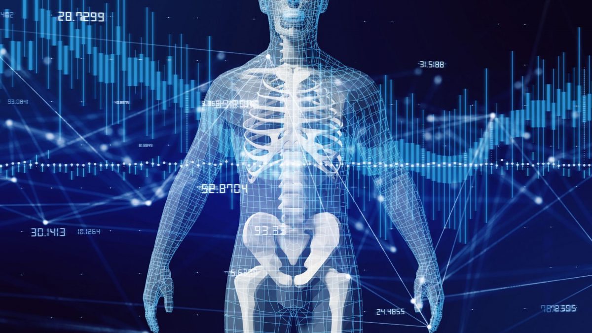 Assi E Piani Del Corpo Umano Fisioscience