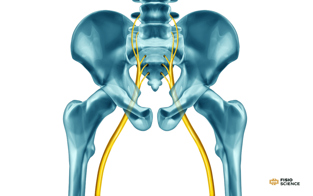 slump test: nervo sciatico