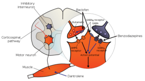 baclofen