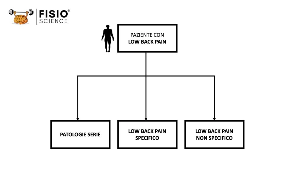 low back pain classificazione