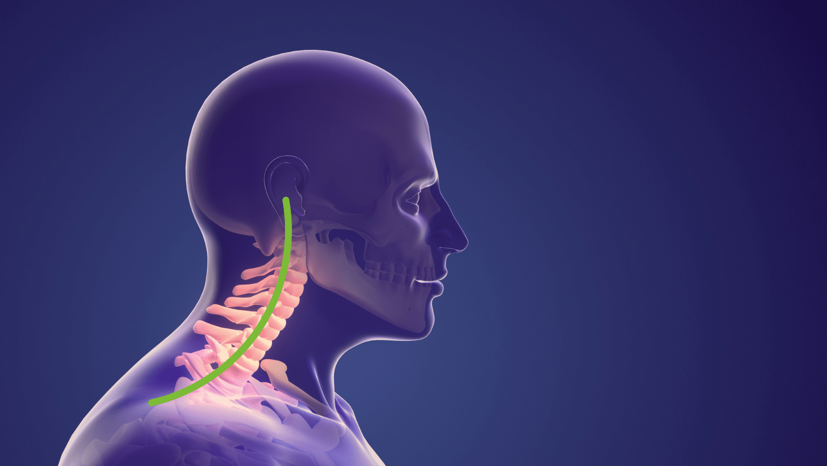 malocclusione-e-postura-esiste-davvero-una-relazione-fisioscience