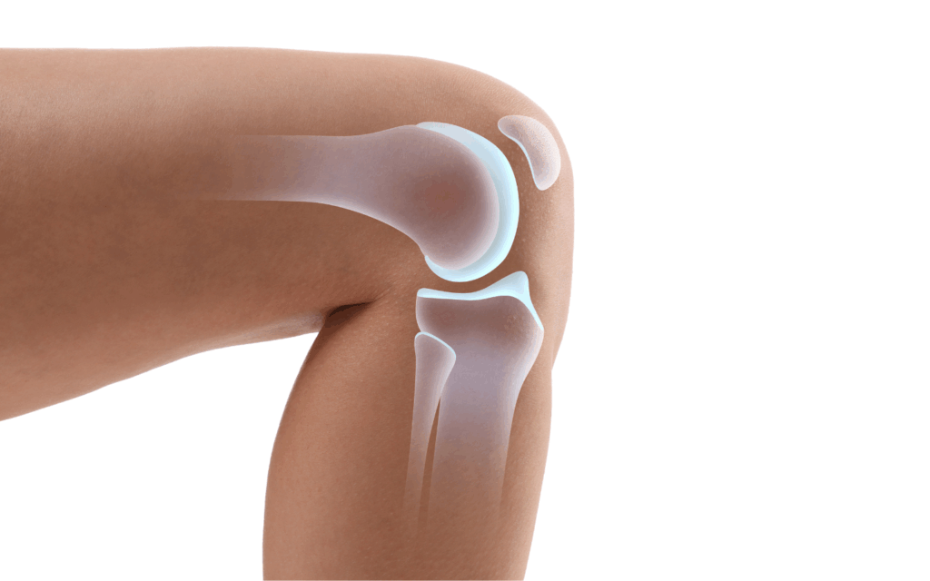 Lysholm Knee Scoring Scale
