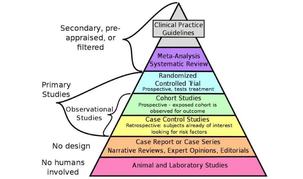 piramide delle evidenze