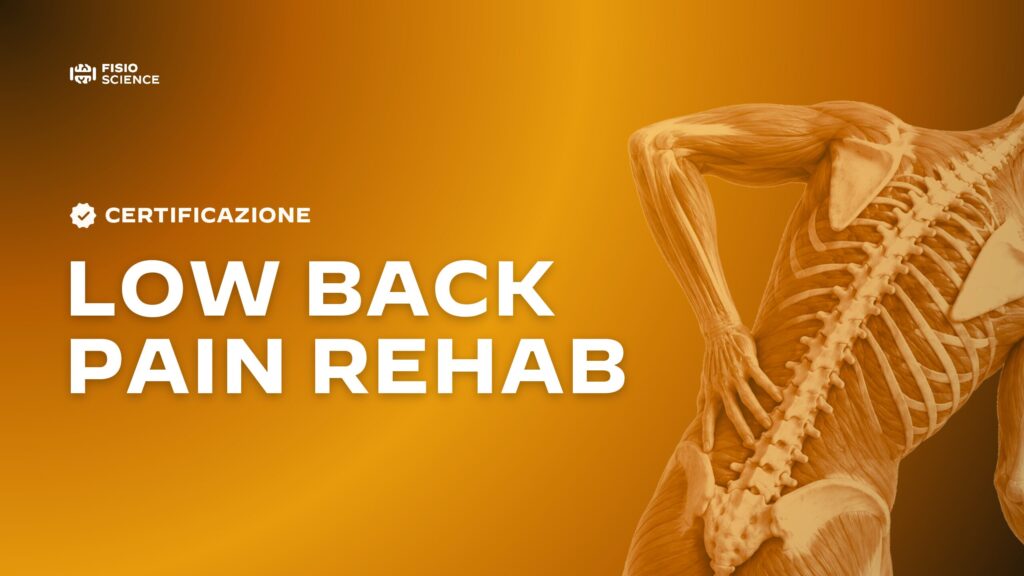 Certificate in Low Back Pain Rehab