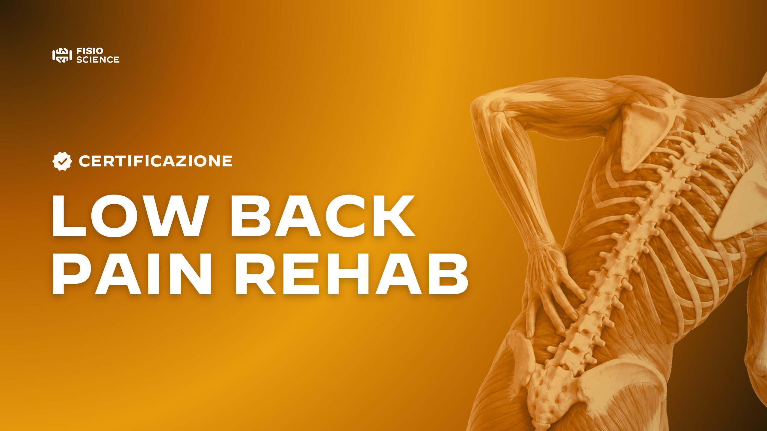 Certificate in Low Back Pain Rehab