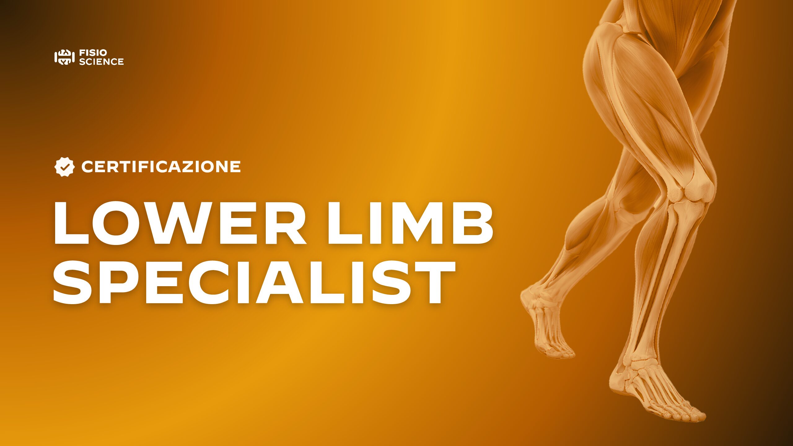 Lower Limb Specialist