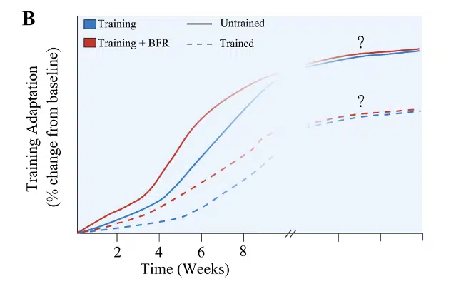 Blood Flow Restriction Training