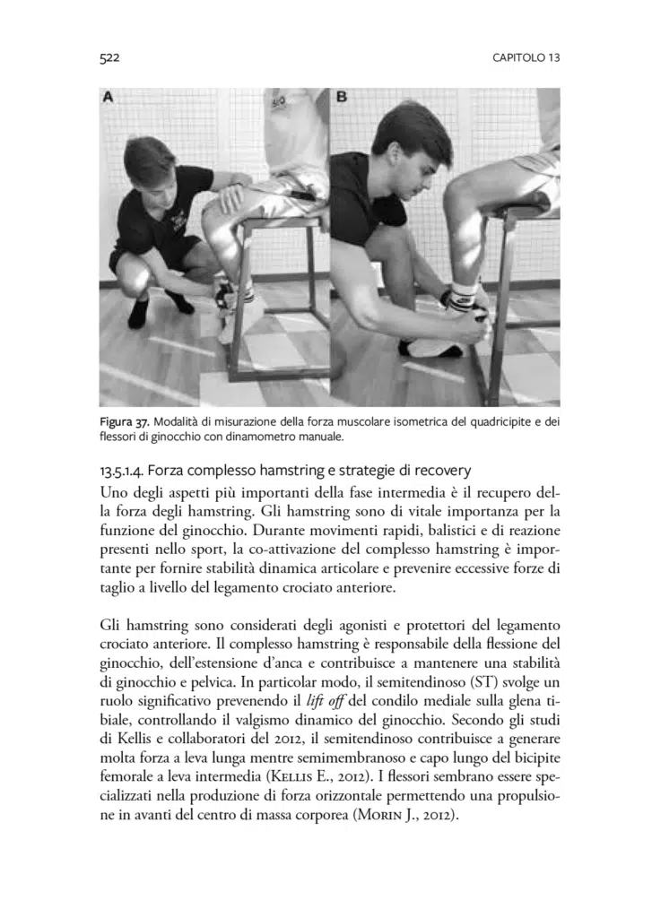 dinamometro manuale-modified