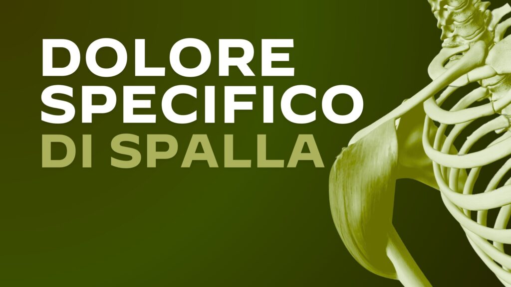 Dolore Specifico di Spalla: Valutazione, gestione e riabilitazione del paziente con spalla dolorosa. Dalla rigidità all'instabilità