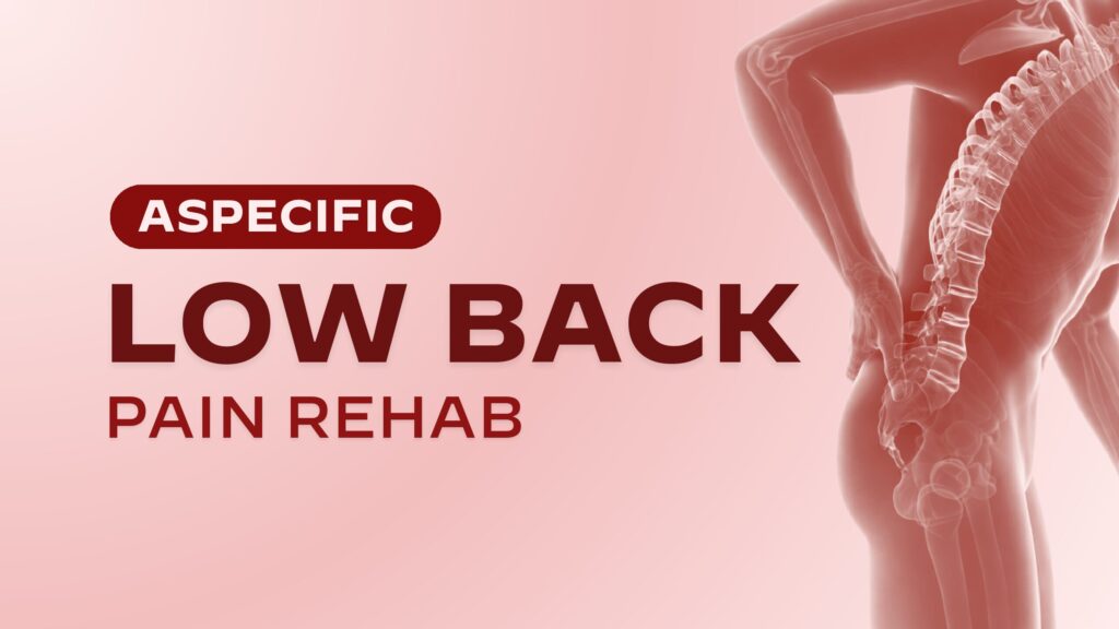 Aspecific Low Back Pain Rehab: Valutazione e gestione del paziente con dolore lombare non specifico o di natura muscoloscheletrica