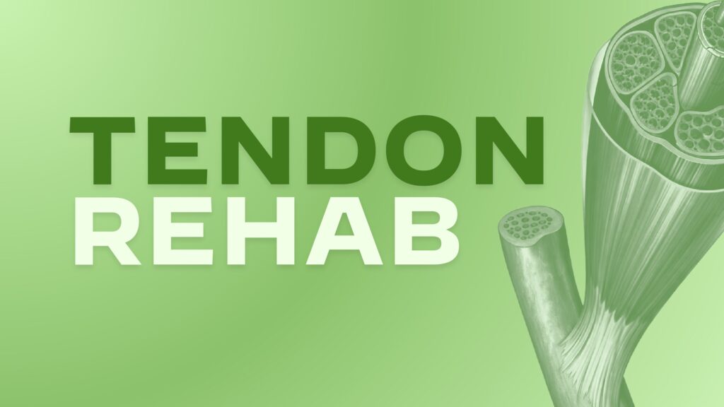 Tendon Rehab: Nuove strategie terapeutiche nella gestione conservativa delle tendinopatie dell’arto inferiore