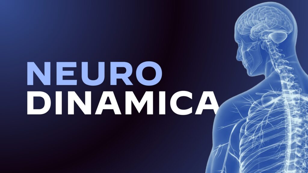 Neurodinamica Clinica: corso in aula.