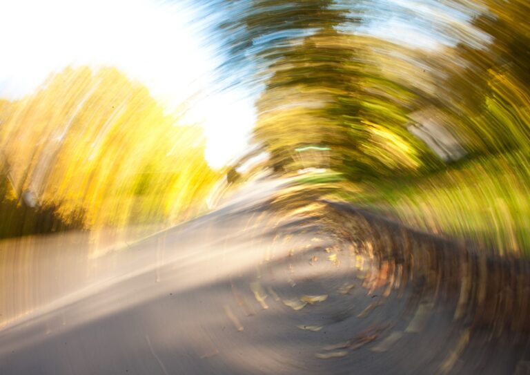 Dizziness e Vertigini: un approccio clinico pratico in fisioterapia