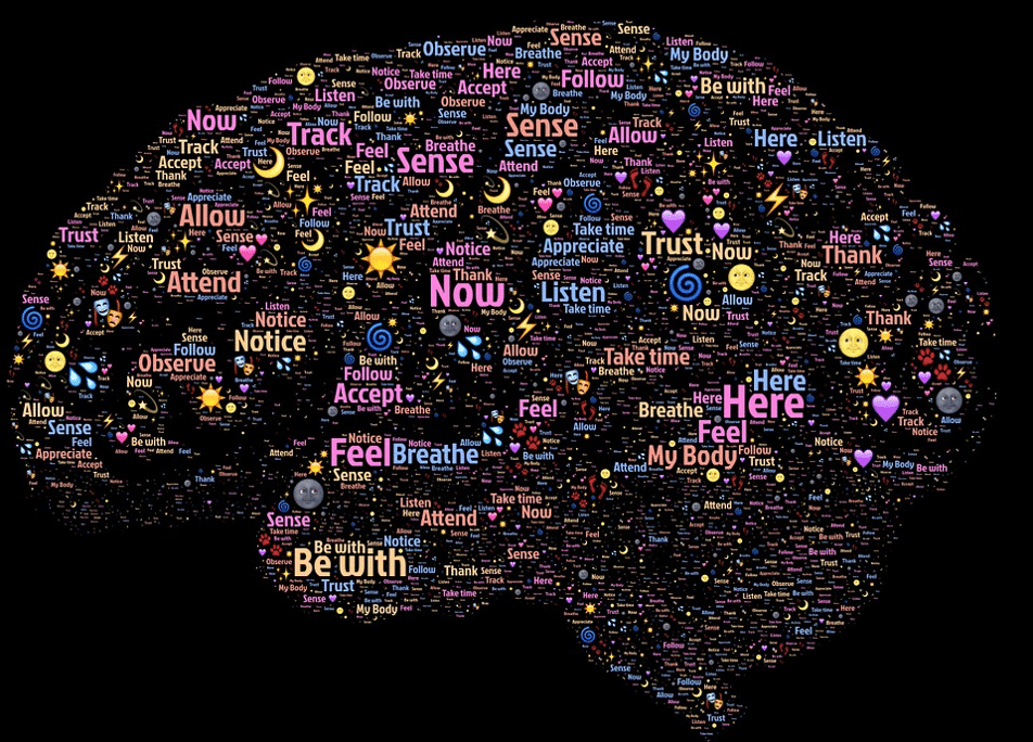 neuroplasticità copertina