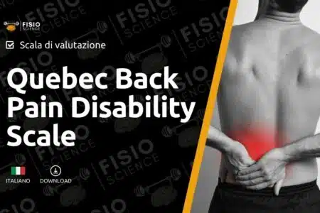 Quebec Back Pain Disability Scale