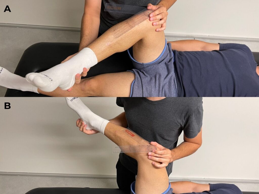  ancapublagia: ROM