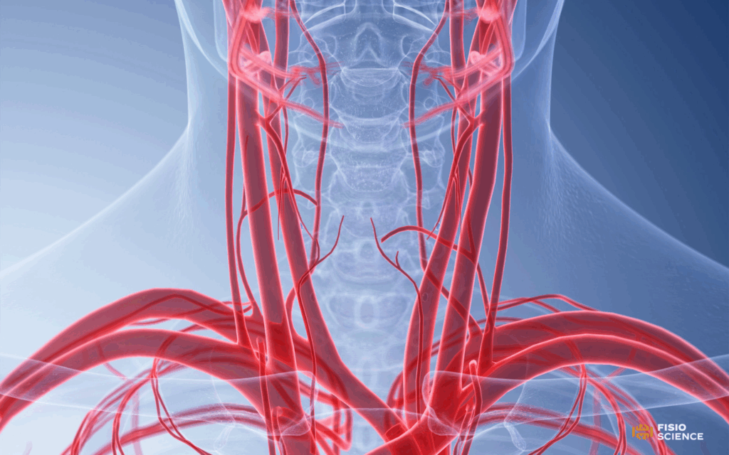 Cervical Artery Dissection CAD