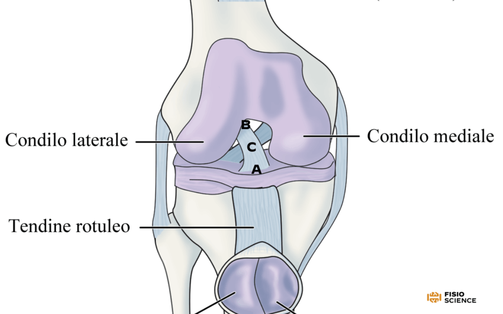 sindrome del ciclope: siti di insorgenza