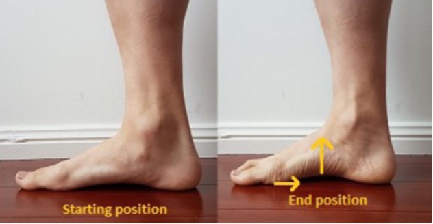 short foot exercise
