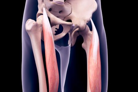 retto femorale lesione fisioscience