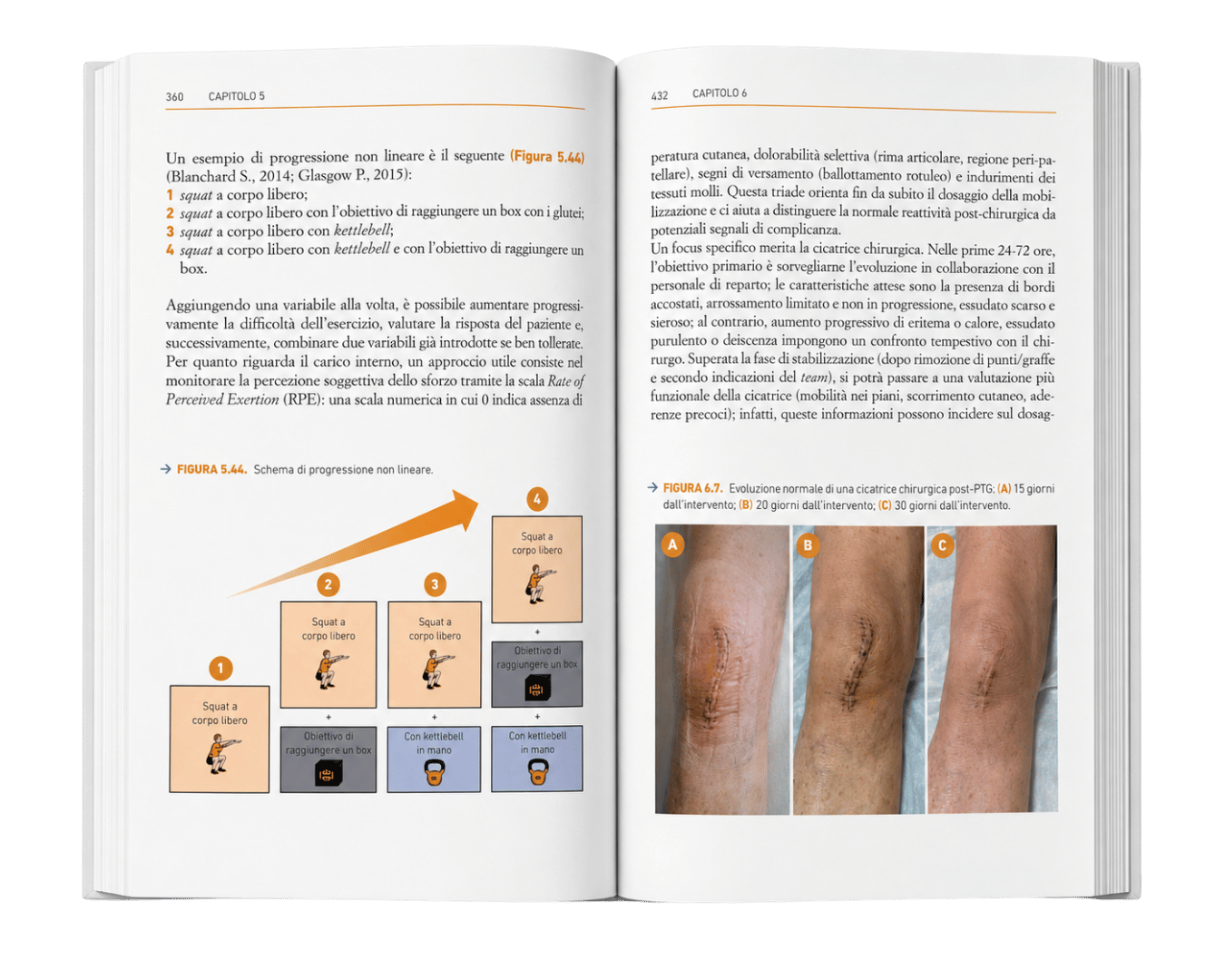 Libro Protesi d'ance e di ginocchio per fisioterapisti fisioscience