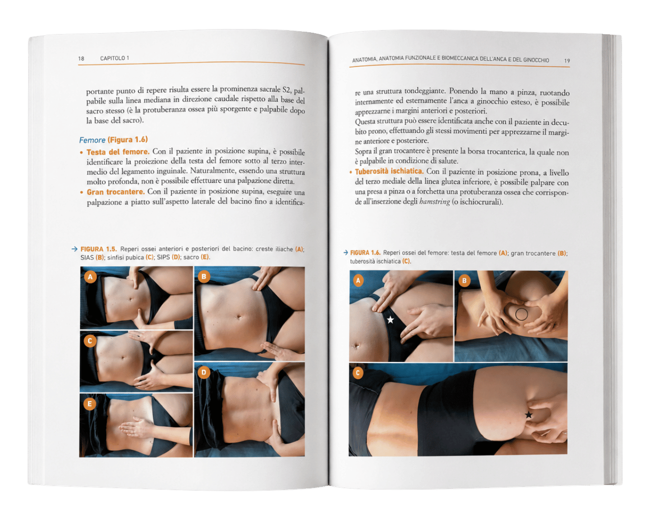 Libro Protesi d'ance e di ginocchio per fisioterapisti fisioscience