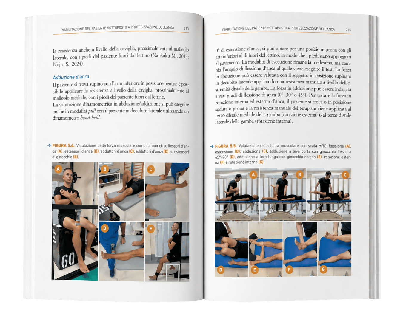 Libro Protesi d'ance e di ginocchio per fisioterapisti fisioscience