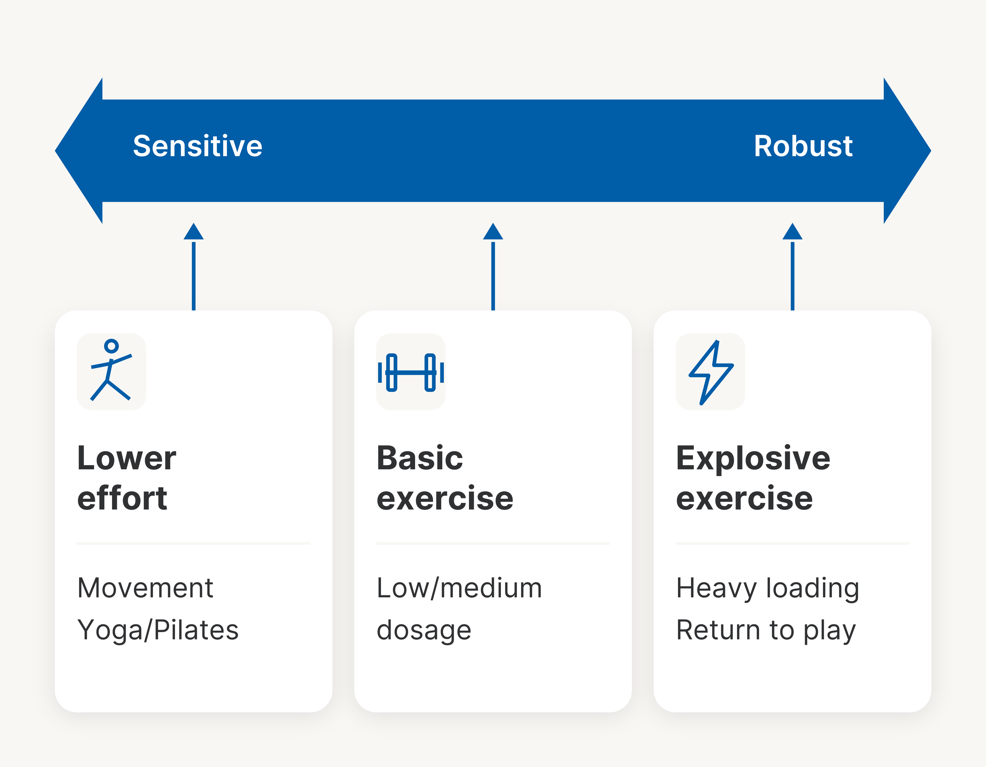 A bidirectional arrow from sensitive to robust. Three groups of examples: lower effort, movement, yoga/Pilates; basic exercise and low/medium dosage; explosive, heavy and return to play.
