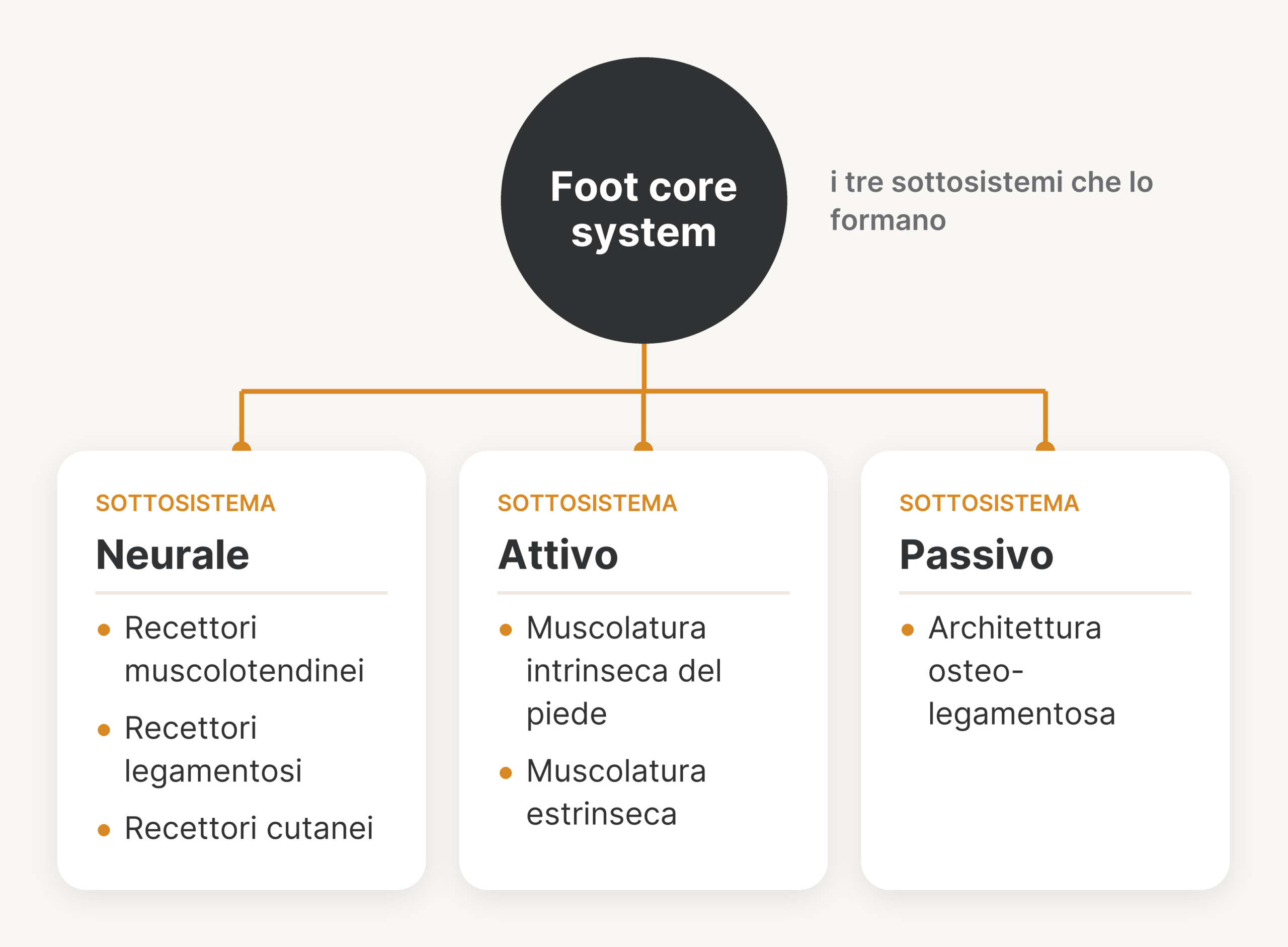Foot core system: un cerchio centrale collegato ai tre sottosistemi, neurale (recettori muscolotendinei, legamentosi e cutanei), attivo (muscolatura intrinseca del piede ed estrinseca) e passivo (architettura osteo-legamentosa).
