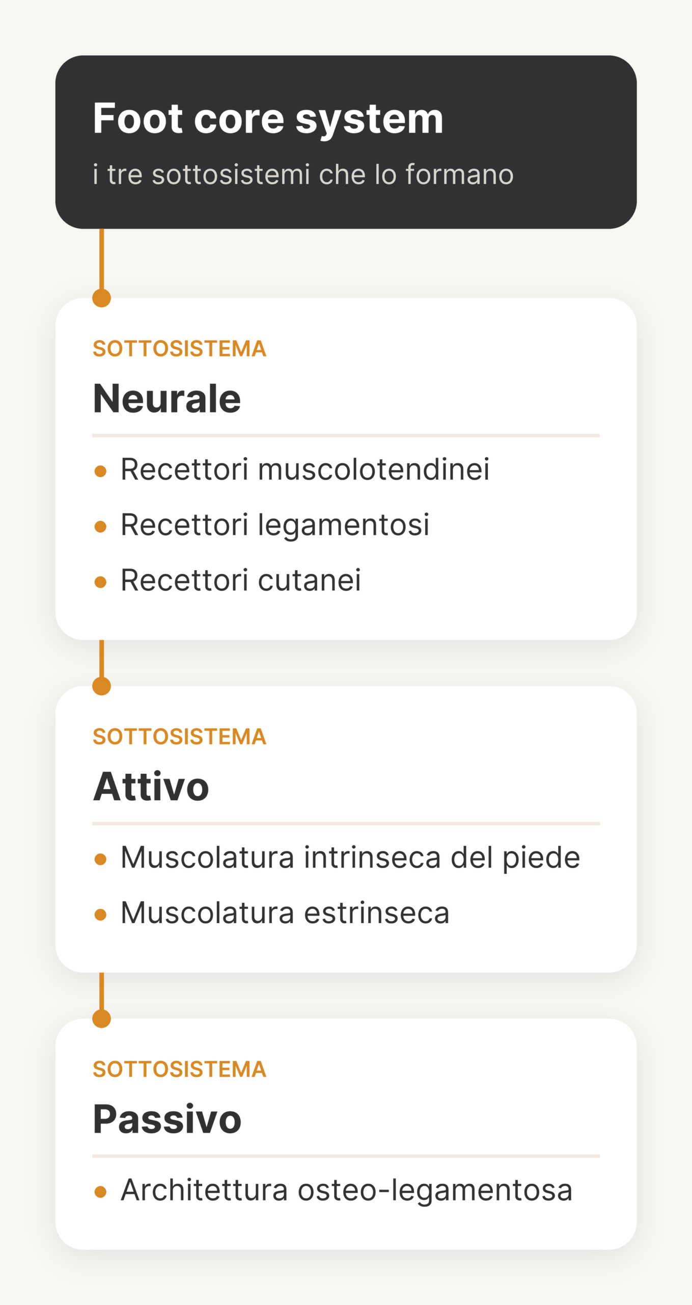 Foot core system: un cerchio centrale collegato ai tre sottosistemi, neurale (recettori muscolotendinei, legamentosi e cutanei), attivo (muscolatura intrinseca del piede ed estrinseca) e passivo (architettura osteo-legamentosa).
