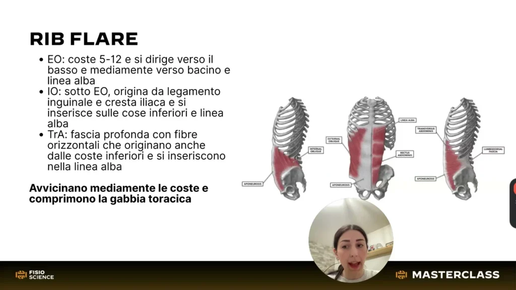 masterclass-diastasi-lesson-07