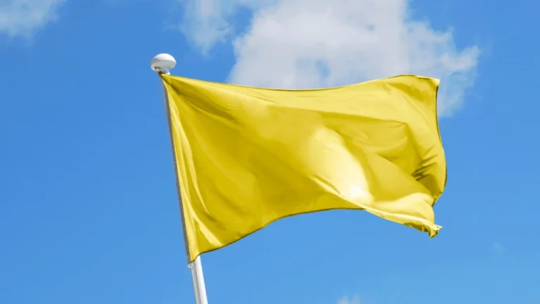 Yellow flags in fisioterapia – strategie pratiche di trattamento